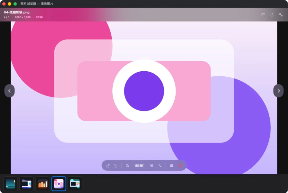 Actual PicCaddy Image Browser screenshot with Previous and Next arrows, a thumbnail strip, and image viewing controls